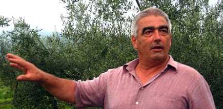 Man with gray hair gesturing while standing in an olive grove with trees in the background. - Olive Oil Times