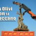 A crane lifting an olive tree with a sign that reads 'Gli Olivi non si Toccano'. - Olive Oil Times