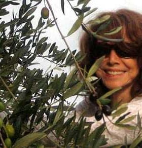 Woman smiling while harvesting olives from an olive tree in a sunny outdoor setting. - Olive Oil Times