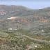 Expansive view of olive groves and hills in the landscape of Crete. - Olive Oil Times
