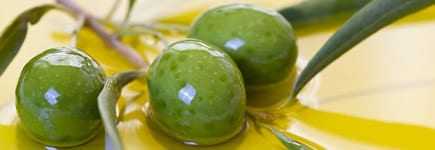 Three green olives resting in a pool of olive oil with leaves nearby. - Olive Oil Times