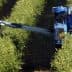 Blue olive harvesting machine operating in an olive grove with green trees. - Olive Oil Times