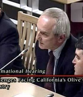 Three men seated at a table during an informational hearing about California's olive oil industry. - Olive Oil Times
