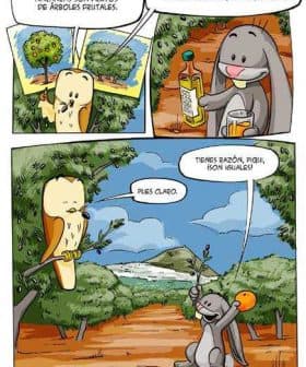 Cartoon of two rabbits discussing fruit, olive oil, and natural juices in a comic strip format. - Olive Oil Times