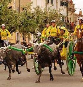 Group of riders on horses and oxen pulling a cart during a traditional parade. - Olive Oil Times