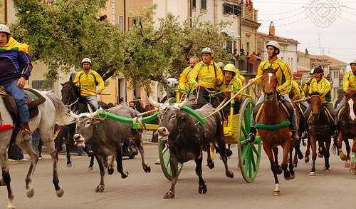 Group of riders on horses and oxen pulling a cart during a traditional parade. - Olive Oil Times