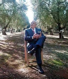 A man in a suit sitting on a wooden chair in an olive grove surrounded by trees. - Olive Oil Times
