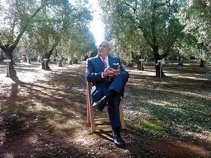A man in a suit sitting on a wooden chair in an olive grove surrounded by trees. - Olive Oil Times