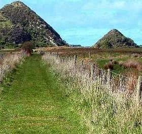 A grassy pathway bordered by fences leading towards two hills in Otago, New Zealand. - Olive Oil Times