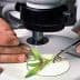 Scientist using tweezers to examine a small plant sample under a microscope. - Olive Oil Times