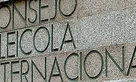 Text on a stone wall reading 'Consejo Oleícola Internacional' in capital letters. - Olive Oil Times