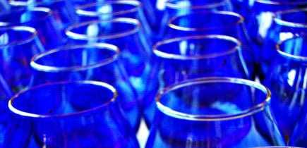 Row of blue tasting glasses arranged closely together, showcasing their transparent design. - Olive Oil Times
