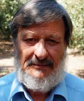 A man with a beard wearing a blue shirt, standing in an olive grove. - Olive Oil Times