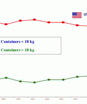 Graph showing percentage of US imports by container weight, with two lines representing different weight categories. - Olive Oil Times