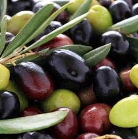 A mix of green, black, and purple olives with olive leaves scattered among them. - Olive Oil Times