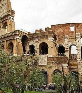 The Colosseum in Rome, showcasing its iconic architecture and structure. - Olive Oil Times