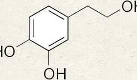 Chemical structure diagram of hydroxytyrosol showing its molecular composition. - Olive Oil Times