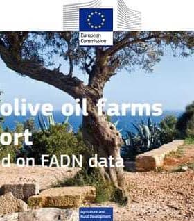 Cover of the EU olive oil farms report featuring an olive tree and text about FADN data. - Olive Oil Times