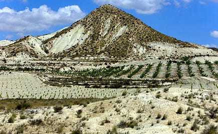 A mountain with a steep slope and terraced fields in the foreground under a blue sky with clouds. - Olive Oil Times