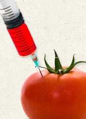 A syringe injecting red liquid into the skin of a ripe tomato with green leaves. - Olive Oil Times
