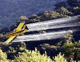 Yellow agricultural aircraft spraying pesticides over a green landscape with trees. - Olive Oil Times
