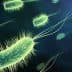 Microscopic illustration of bacteria with flagella and hair-like structures in green color. - Olive Oil Times