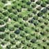 Aerial view of a neatly arranged olive tree orchard with green foliage and soil visible between the trees. - Olive Oil Times