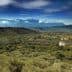 A scenic view of an olive grove landscape in Crete with mountains in the background. - Olive Oil Times