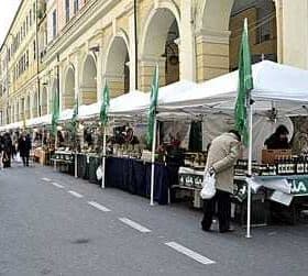 Outdoor market featuring stalls with canopies and various products displayed for sale. - Olive Oil Times