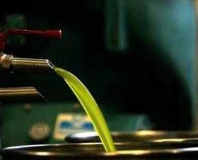 Green olive oil flowing from a spout into a metal container during the extraction process. - Olive Oil Times
