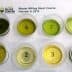 Eight small cups containing different olive oil samples labeled with numbers on a white sheet. - Olive Oil Times