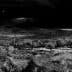 Black and white image of a landscape featuring olive trees and rocky terrain under a dark sky. - Olive Oil Times