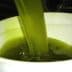 Green olive oil being poured from a container into a white bowl. - Olive Oil Times