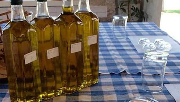 Four bottles of olive oil arranged on a checkered tablecloth with glasses nearby. - Olive Oil Times