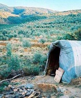 A plastic-covered structure in an olive grove surrounded by trees and hills. - Olive Oil Times