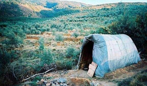 A plastic-covered structure in an olive grove surrounded by trees and hills. - Olive Oil Times