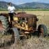 A vintage tractor in a field with two men standing nearby, one taking a photo. - Olive Oil Times