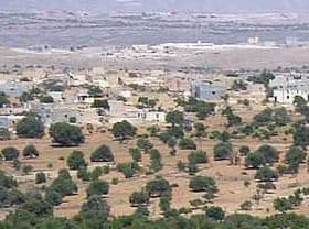 A landscape featuring olive trees and scattered buildings in a rural setting. - Olive Oil Times