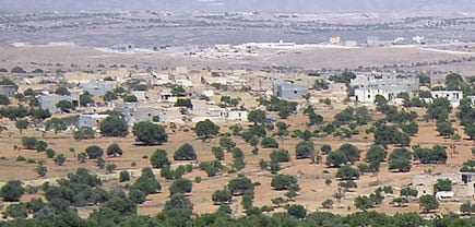 A landscape featuring olive trees and scattered buildings in a rural setting. - Olive Oil Times