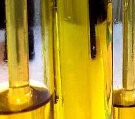 Test tubes containing olive oil samples arranged in a laboratory setting. - Olive Oil Times