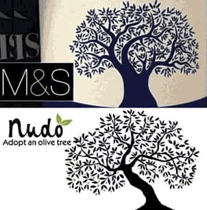 Graphic design featuring an olive tree with intricate leaf patterns and stylized text. - Olive Oil Times