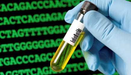 Hand holding a test tube containing yellow liquid with a genetic sequence displayed in the background. - Olive Oil Times