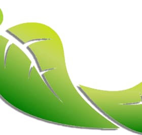 Graphic representation of a green footprint made of leaf shapes. - Olive Oil Times