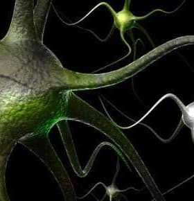 Digital illustration of neurons with various colors and shapes against a dark background. - Olive Oil Times