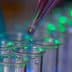 A pipette dropping liquid into a row of clear test tubes illuminated with green light. - Olive Oil Times