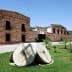 Exterior view of an olive oil mill featuring large stone grinding wheels in the foreground. - Olive Oil Times