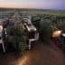 Olive harvesting machine and tractor working in an olive grove at dusk. - Olive Oil Times