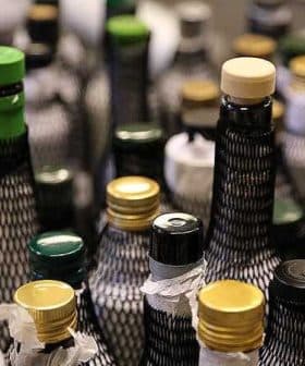 A variety of olive oil bottles with different colored caps and labels arranged closely together. - Olive Oil Times