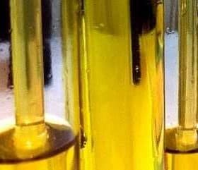 Test tubes filled with olive oil arranged in a row, showing the liquid's color and clarity. - Olive Oil Times