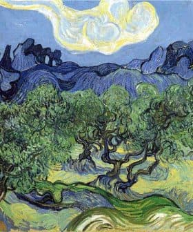 Vincent van Gogh's painting of olive trees with a blue sky and swirling clouds. - Olive Oil Times